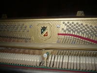 Termékváltozat kép