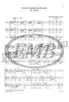 Termékváltozat kép